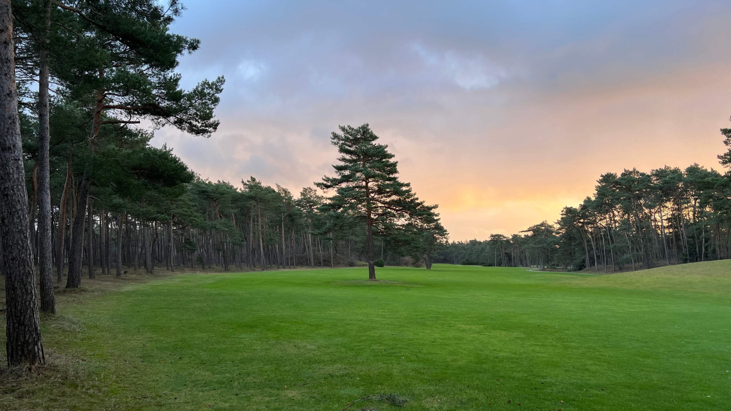 Golfen bij het Rijk van Nunspeet op de Veluwe