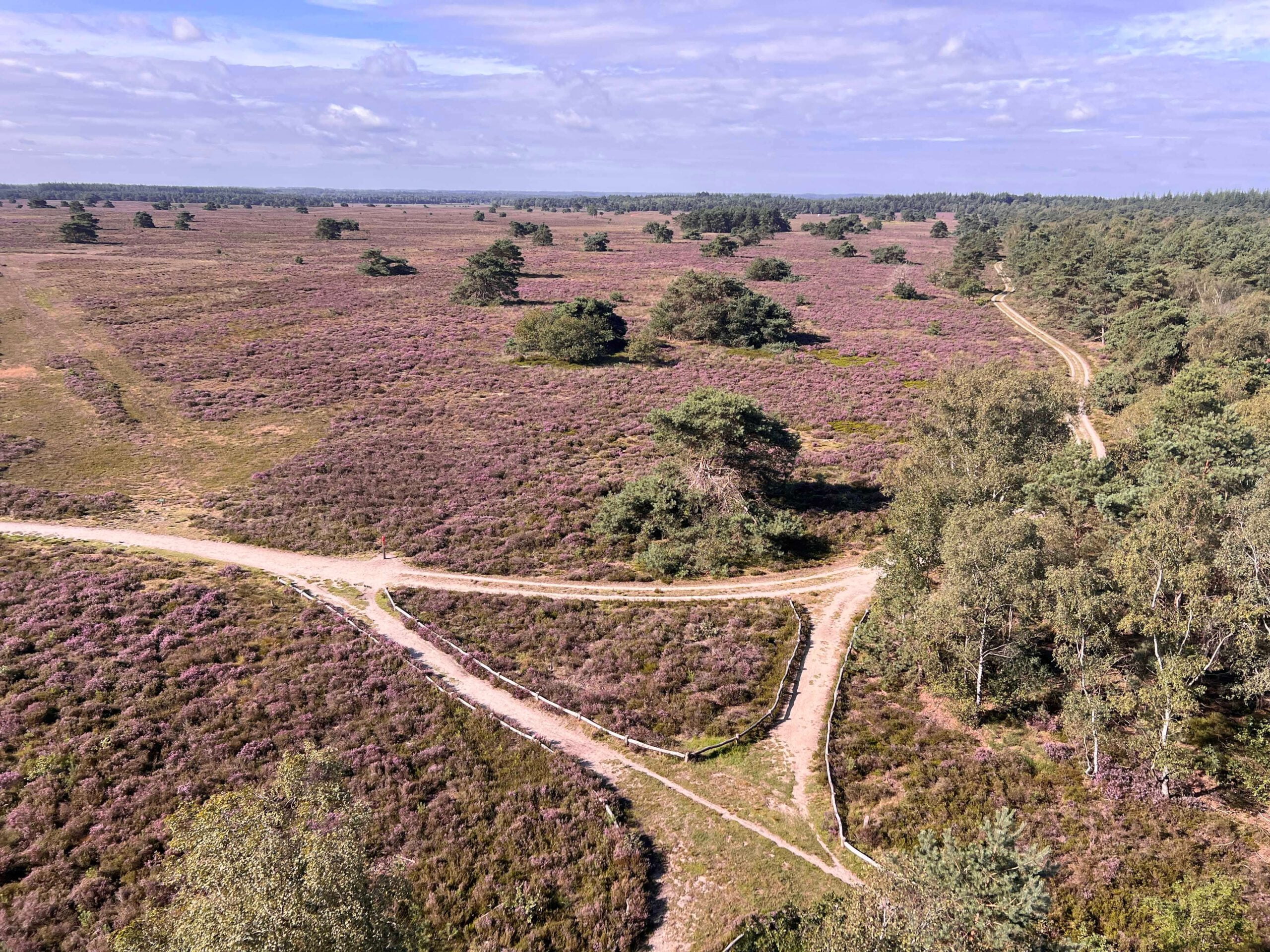 Ontdek de prachtige natuur van de Veluwe