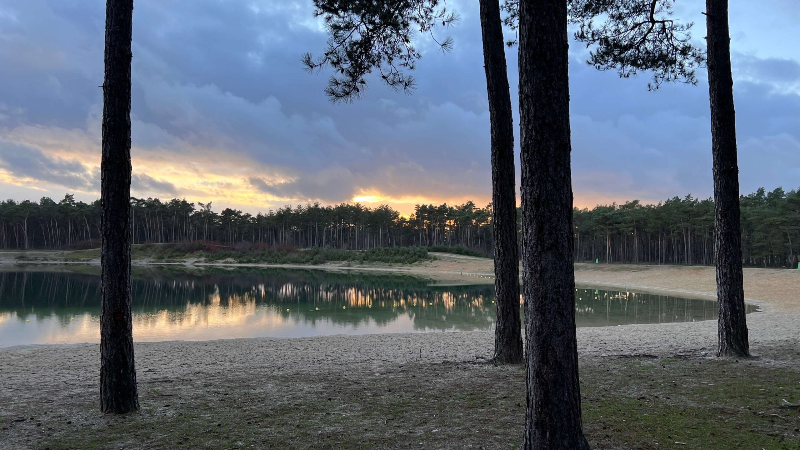 De Zandeplas op de Veluwe in Nunspeet